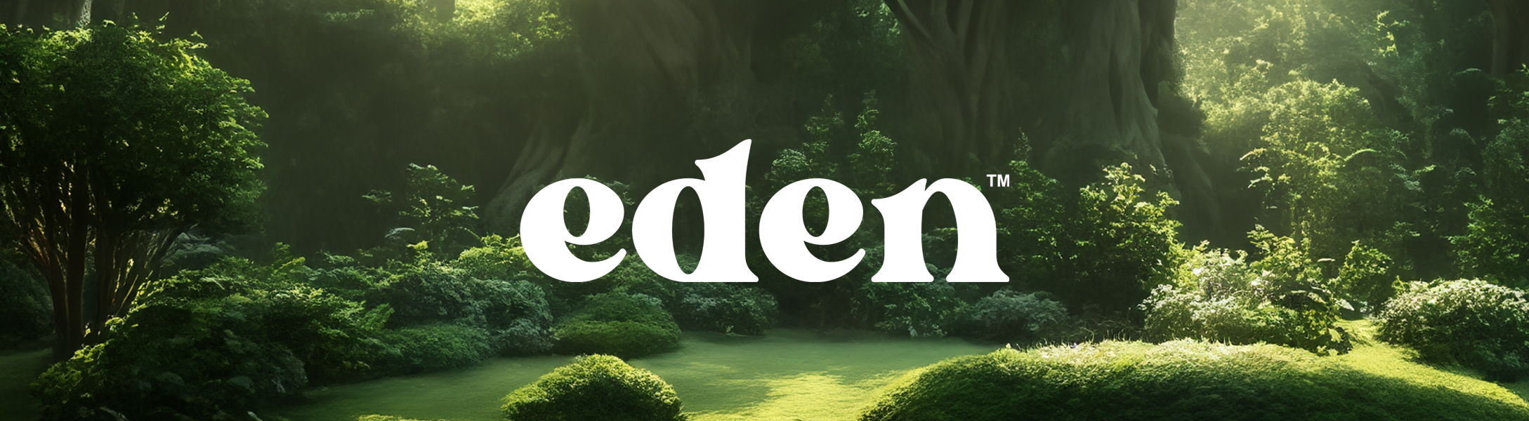 Collection of  in a gallery layout