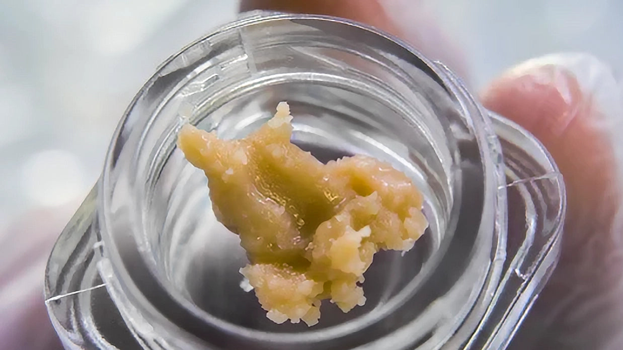 Collection of  in a gallery layout