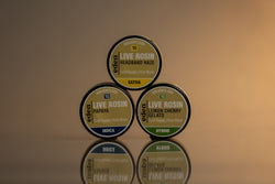Collection of  in a gallery layout