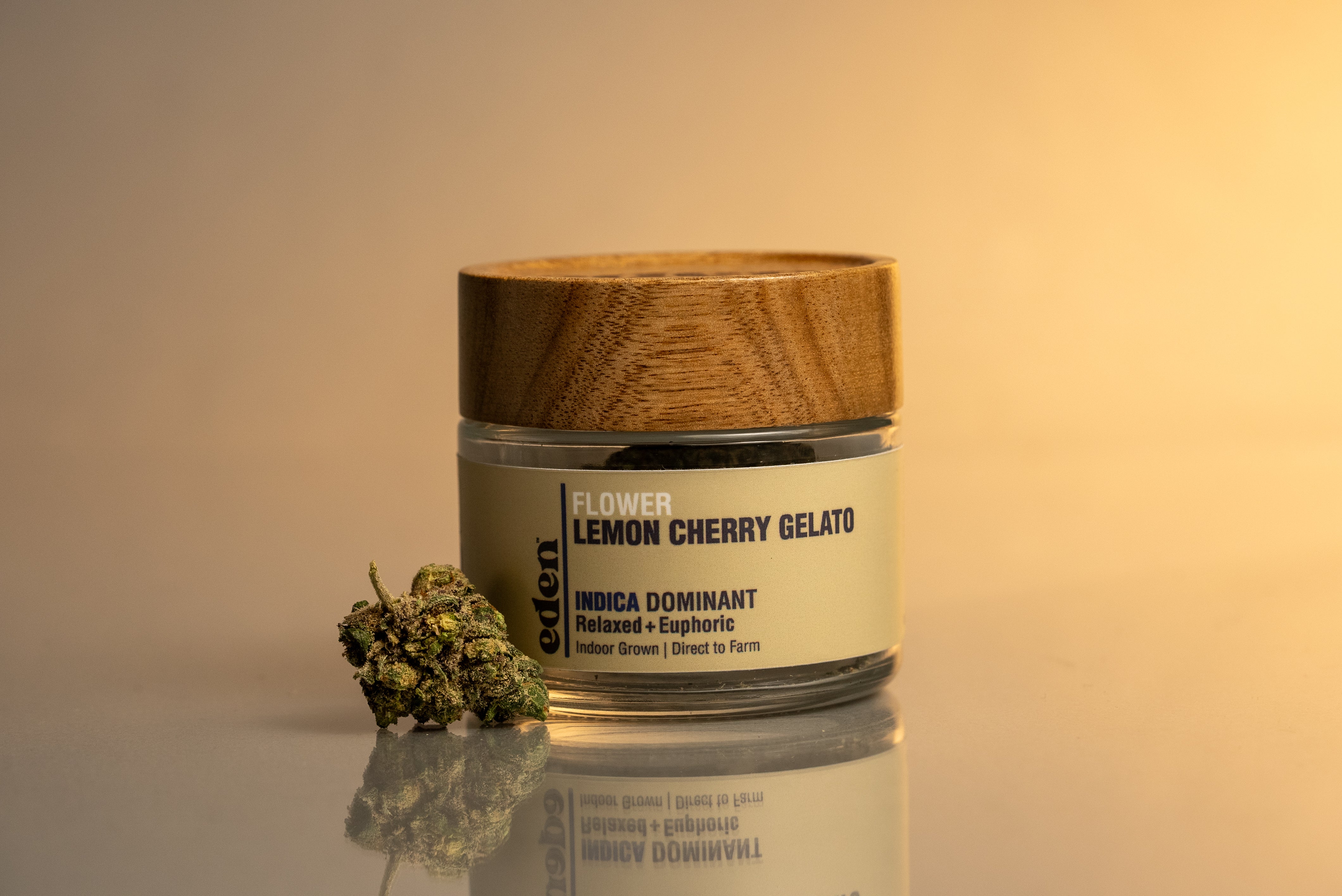 Collection of  in a gallery layout