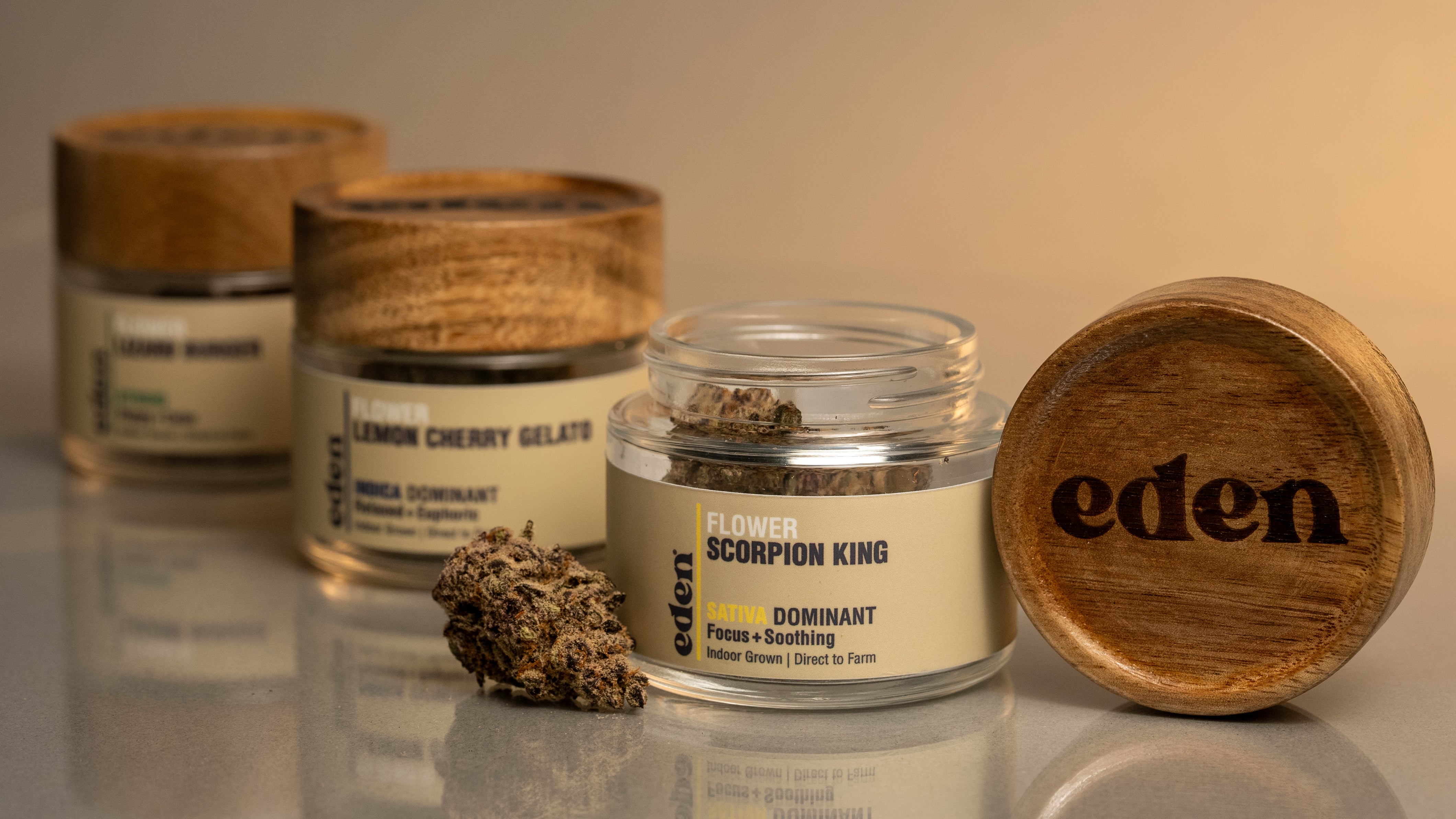 Collection of  in a gallery layout