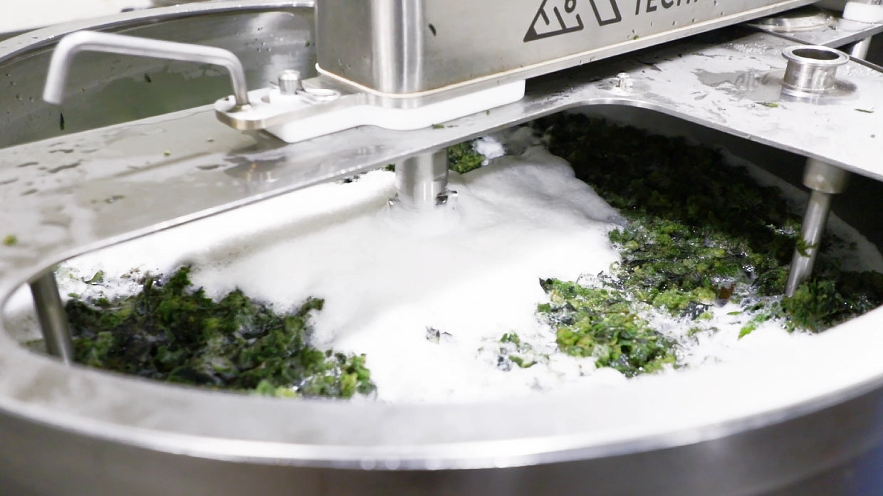 Collection of  in a gallery layout