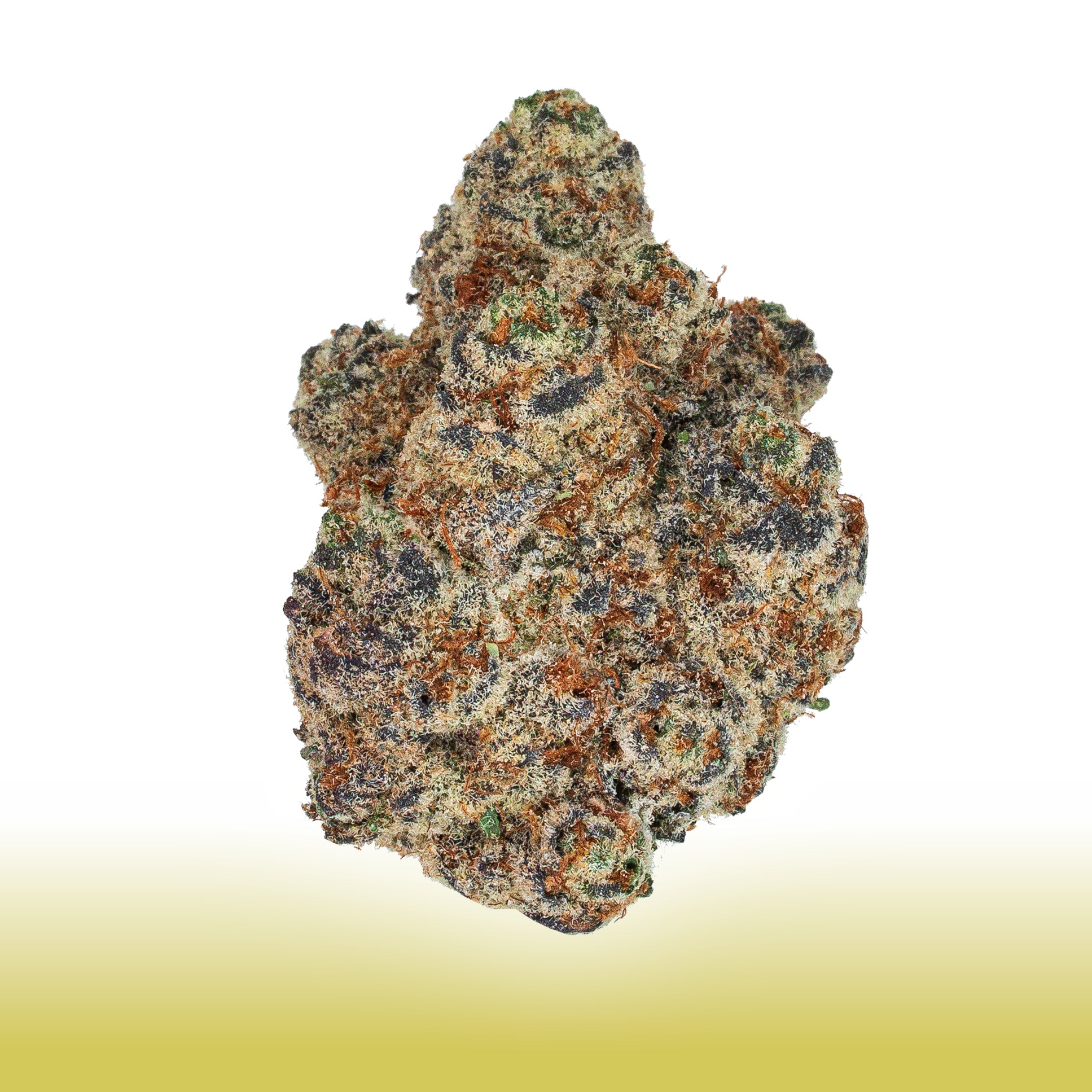 Collection of  in a gallery layout