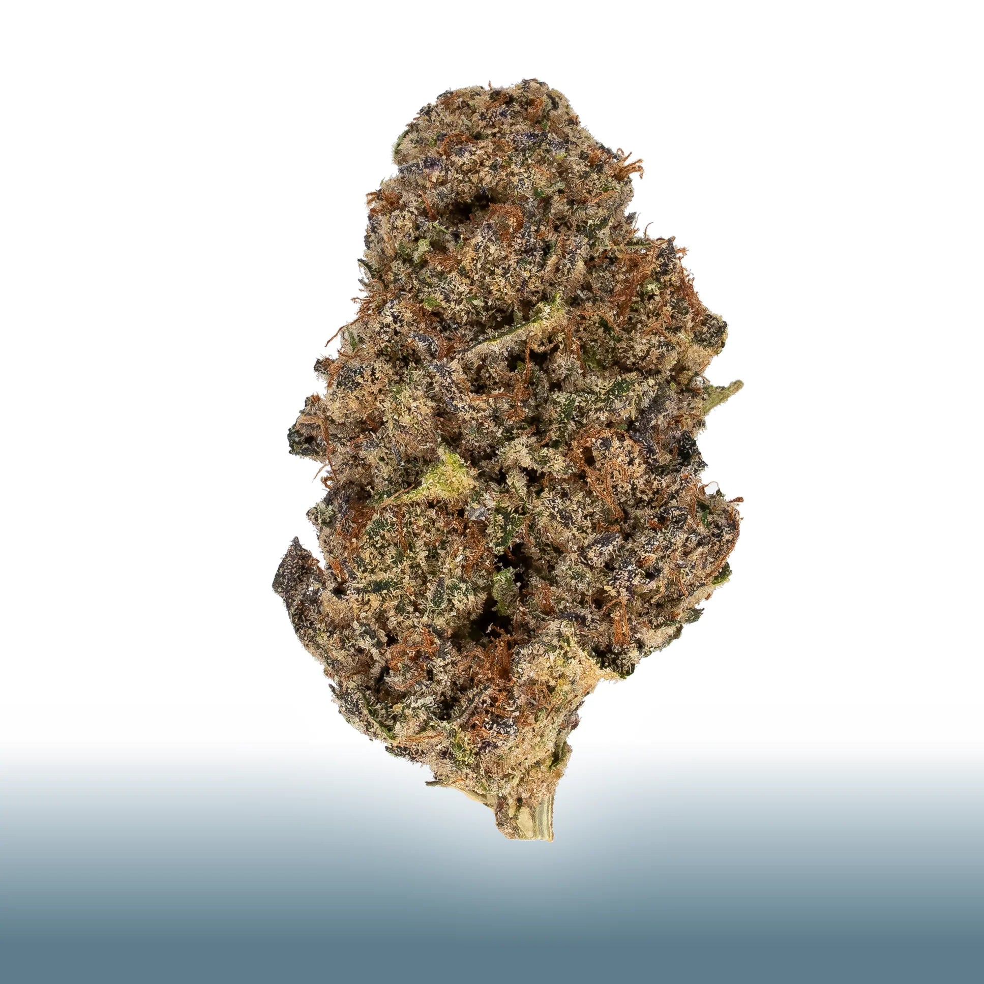 Collection of Close-up of Premium Black Cherry indica-dominant hybrid flower with 19.635% total THC and sweet cherry berry notes in a gallery layout