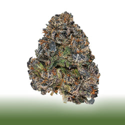 Collection of Black Runtz THCa flower bud with purple, orange, and green hues, covered in frosty trichomes, 50/50 hybrid with 21.822% THC content in a gallery layout