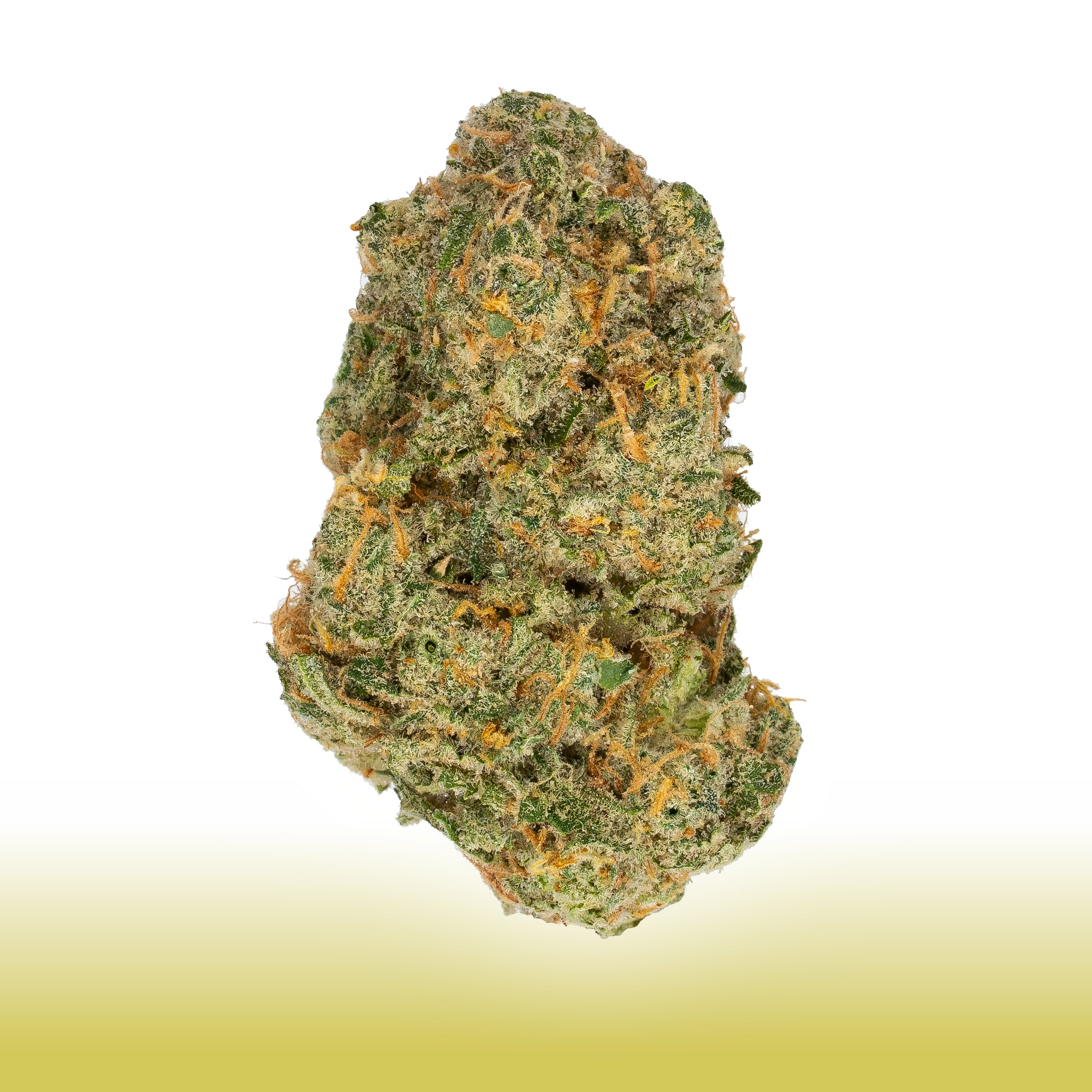 Collection of  in a gallery layout