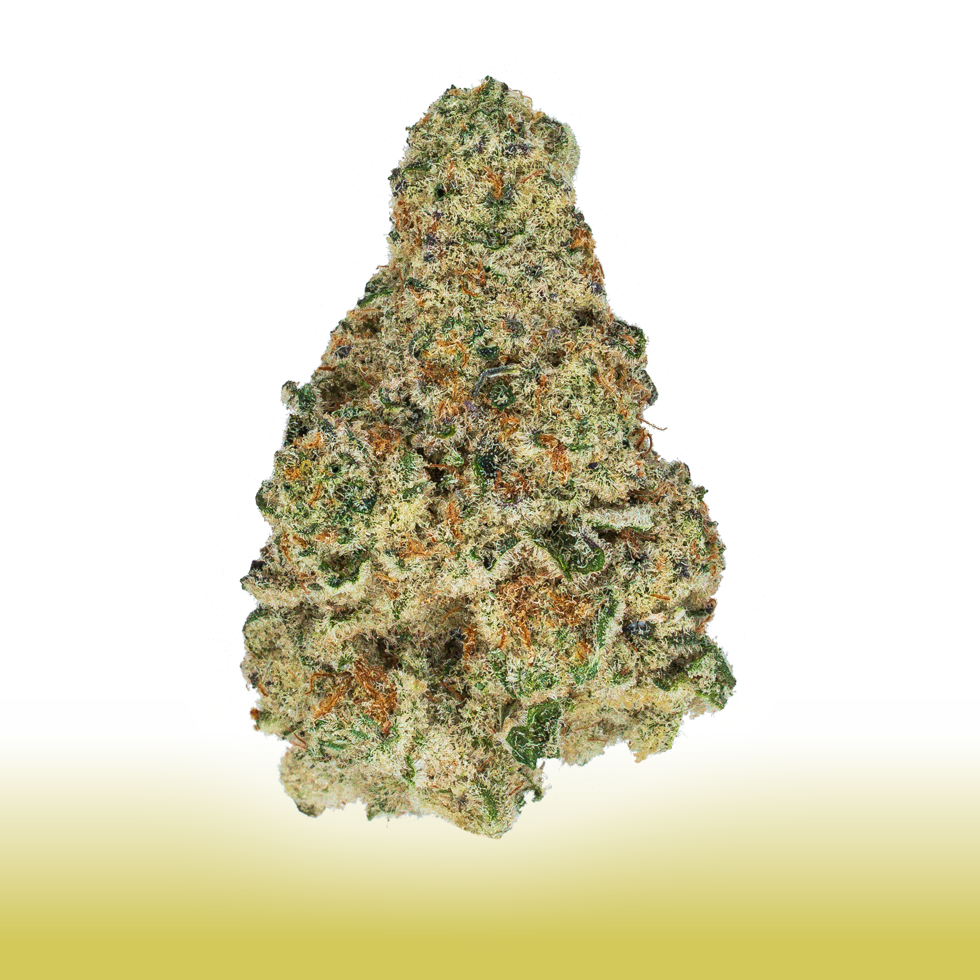 Collection of  in a gallery layout