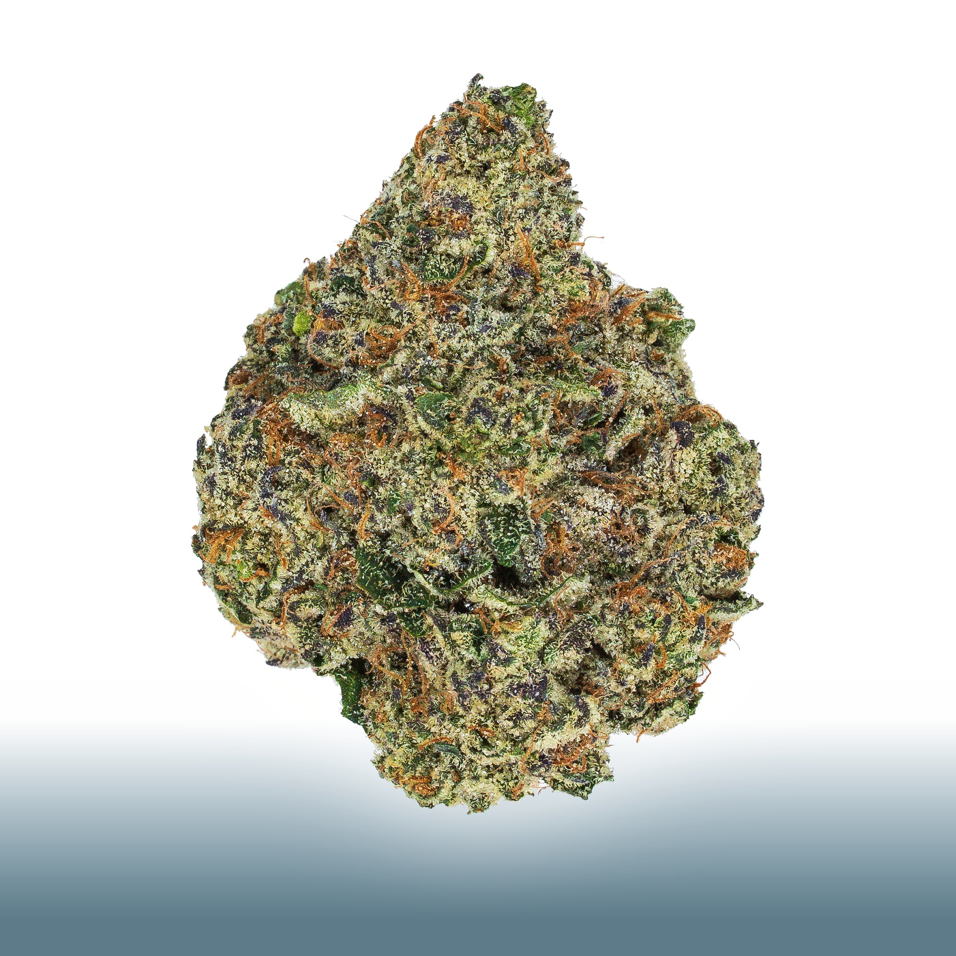 Collection of Eden Distro in a gallery layout