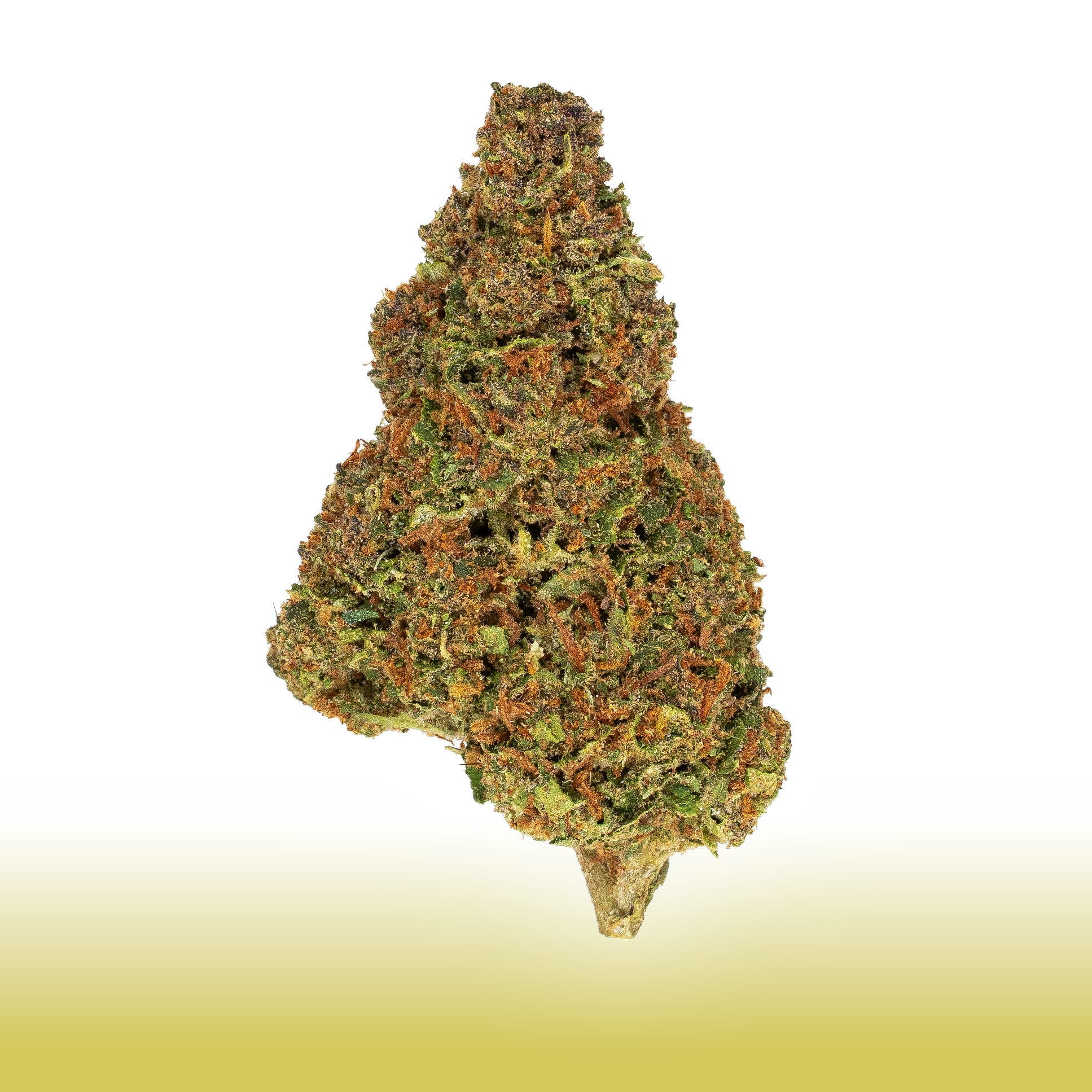 Collection of  in a gallery layout