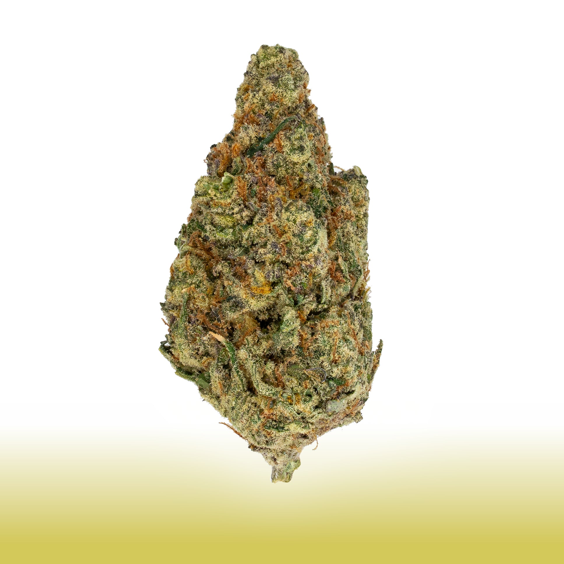 Collection of Premium Flower | Futura Haze in a gallery layout