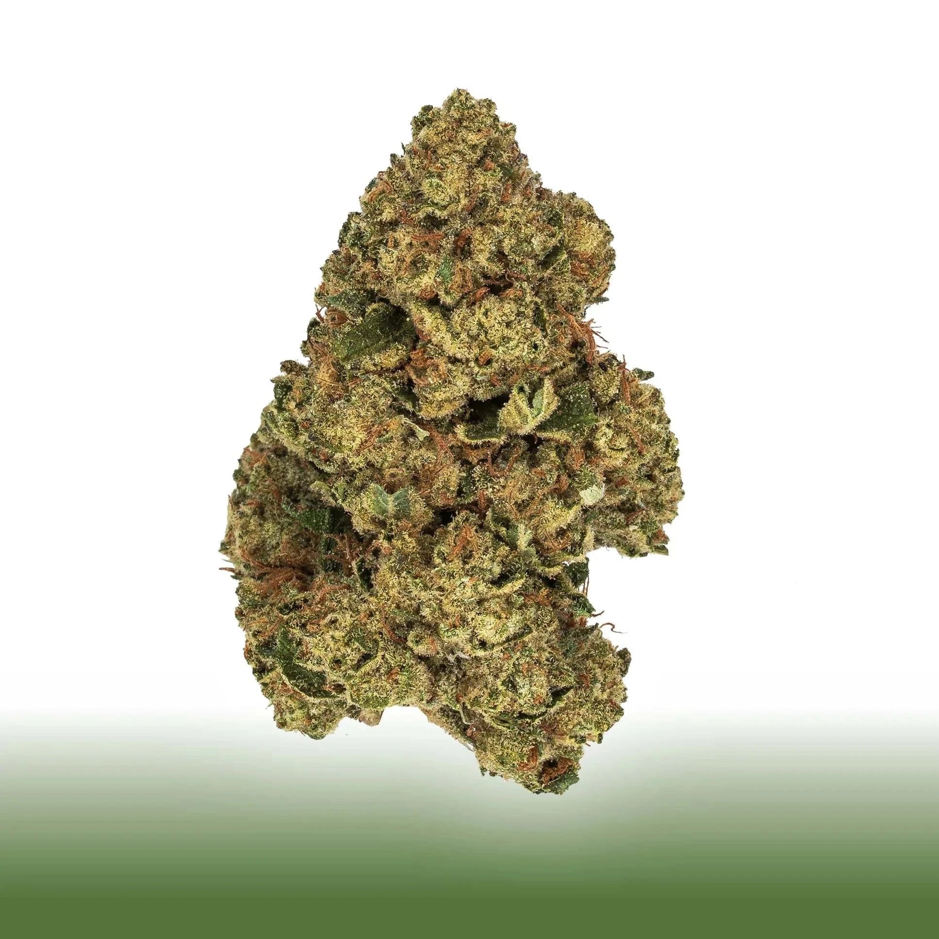 Collection of Gary Payton hybrid cannabis flower bud with dense trichomes and orange pistils in a gallery layout