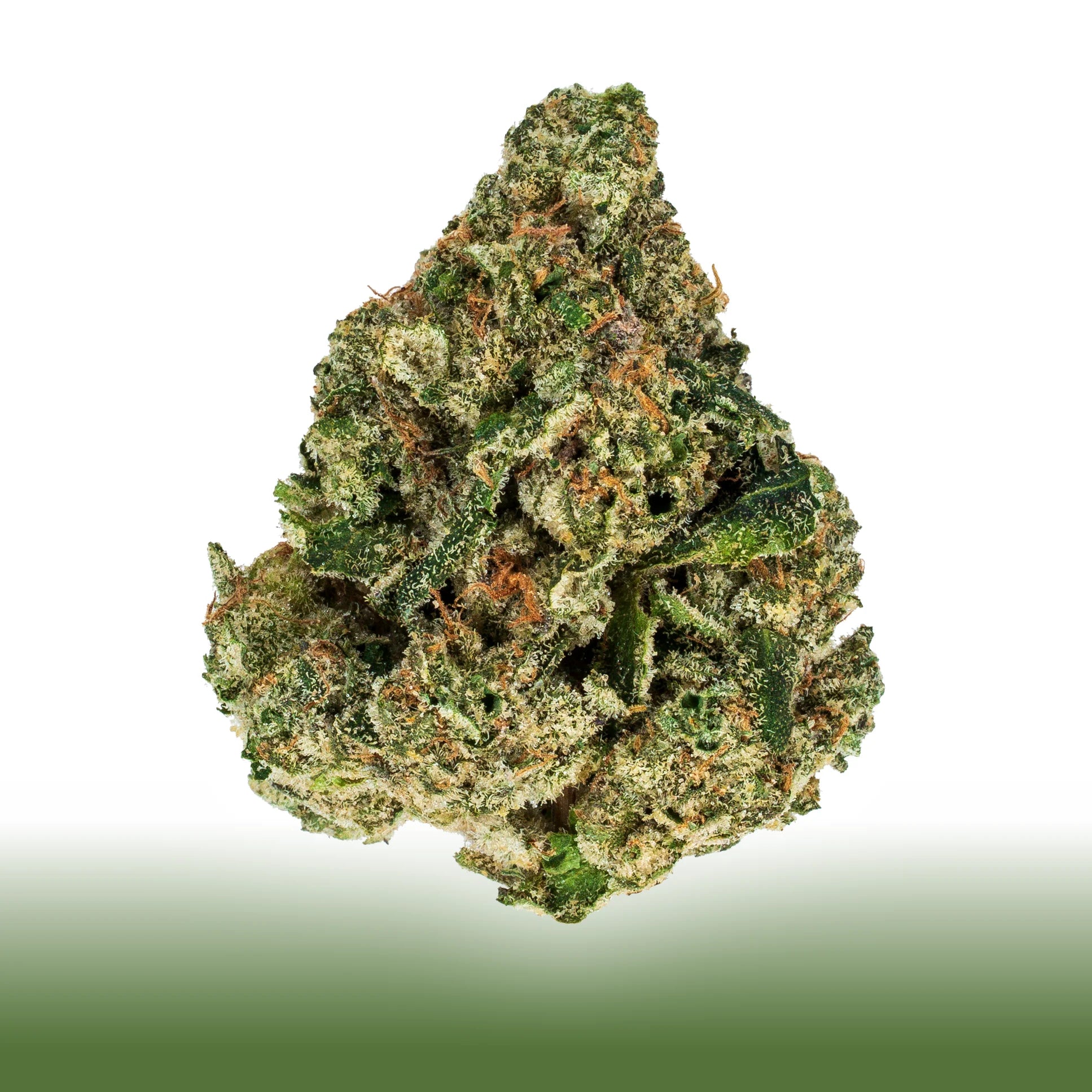Collection of Premium Flower Gary Poppins 50/50 hybrid cannabis bud with sweet buttery flavor and 22.86% THC content in a gallery layout