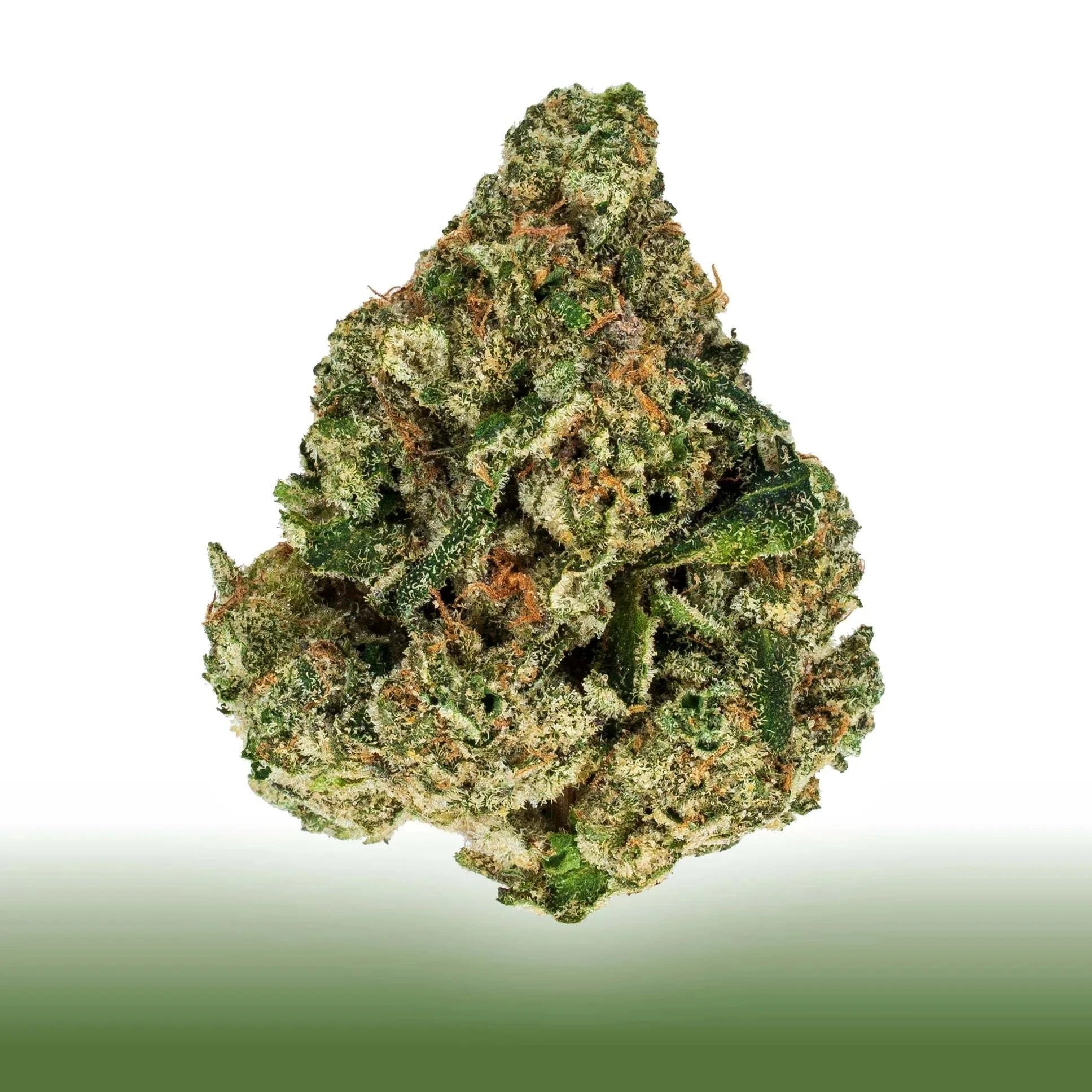 Collection of Close-up of premium flower Gary Poppins cannabis bud with frosty trichomes and green-orange hues isolated on white background in a gallery layout