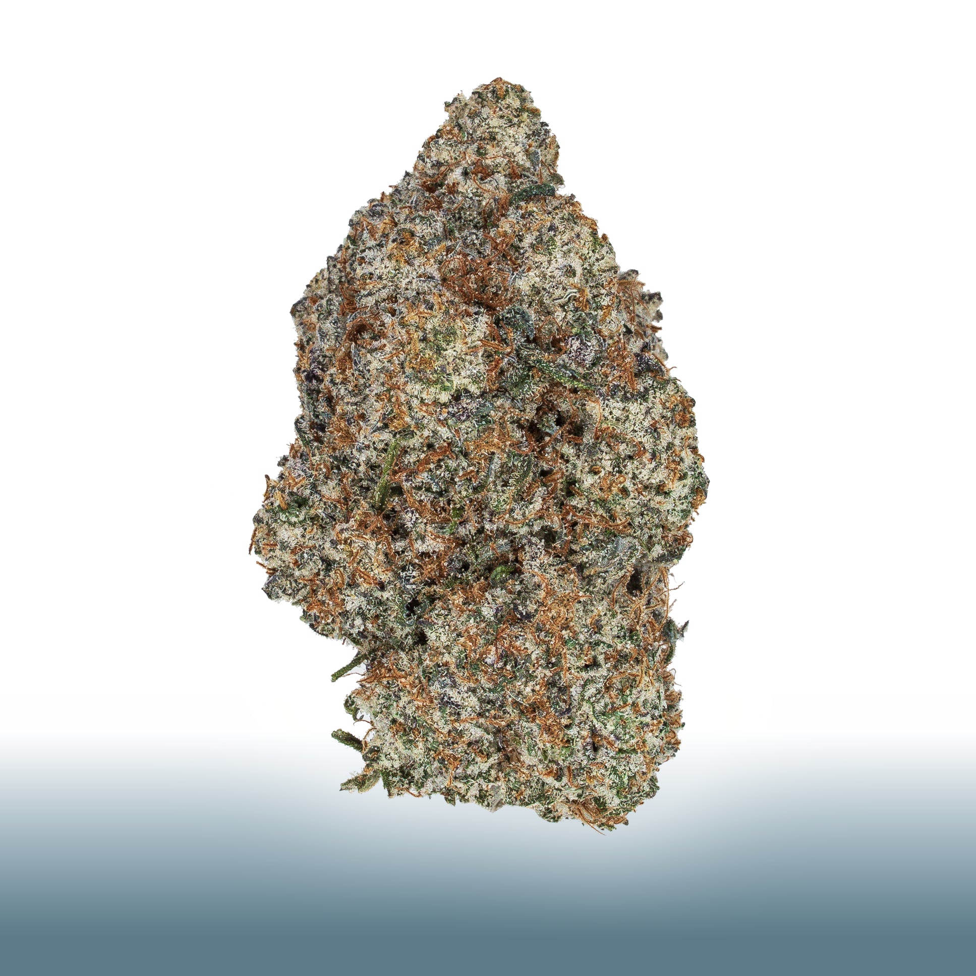 Collection of  in a gallery layout