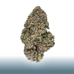 Collection of THCa Flower - Lemon Cherry Gelato, Indica-Dominant, 25.226% THC, energizing and relaxing effects. in a gallery layout