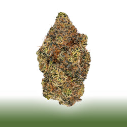 Collection of THCa Flower - Lizard Burger, earthy herbal taste, hybrid, 24.701% THC. in a gallery layout