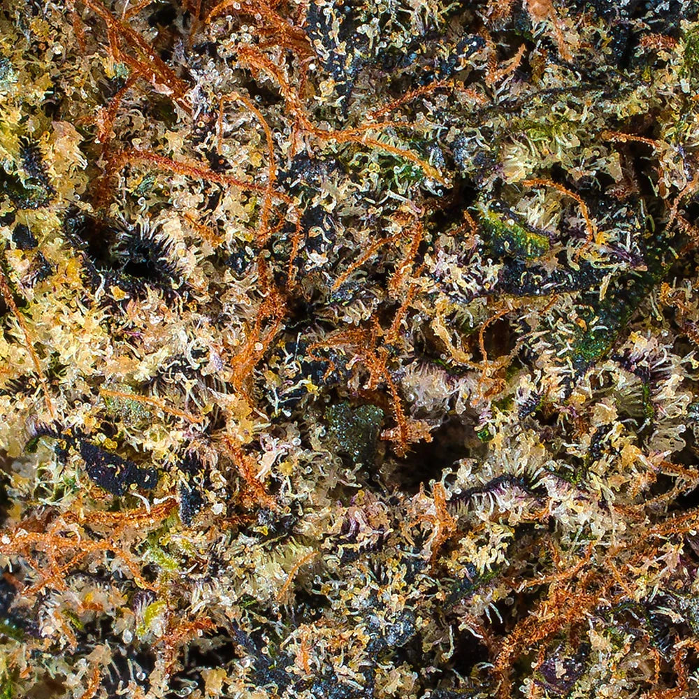 Collection of THCa Flower | Lizard Burger | Premium THCa & Delta 9 Products in a gallery layout