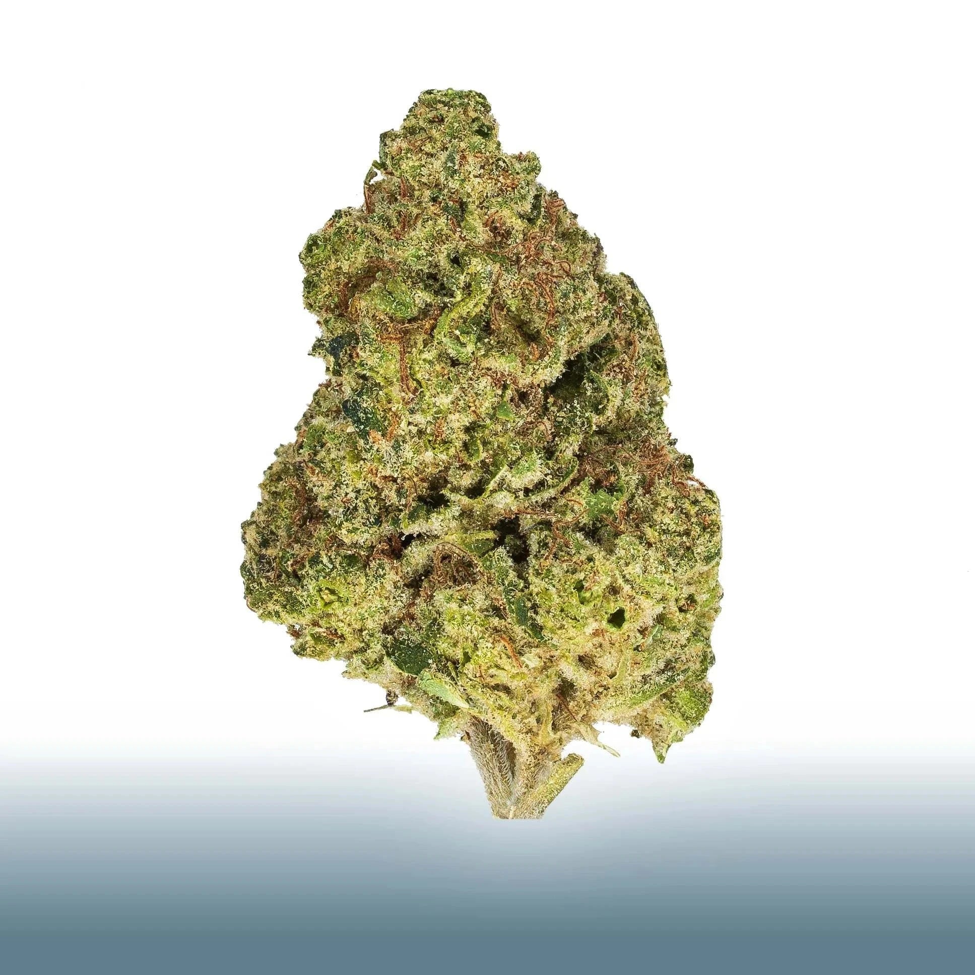 Collection of Magic Night THCa flower nug with green and orange hues, indica-dominant hybrid, high THC content, sweet berry aroma in a gallery layout