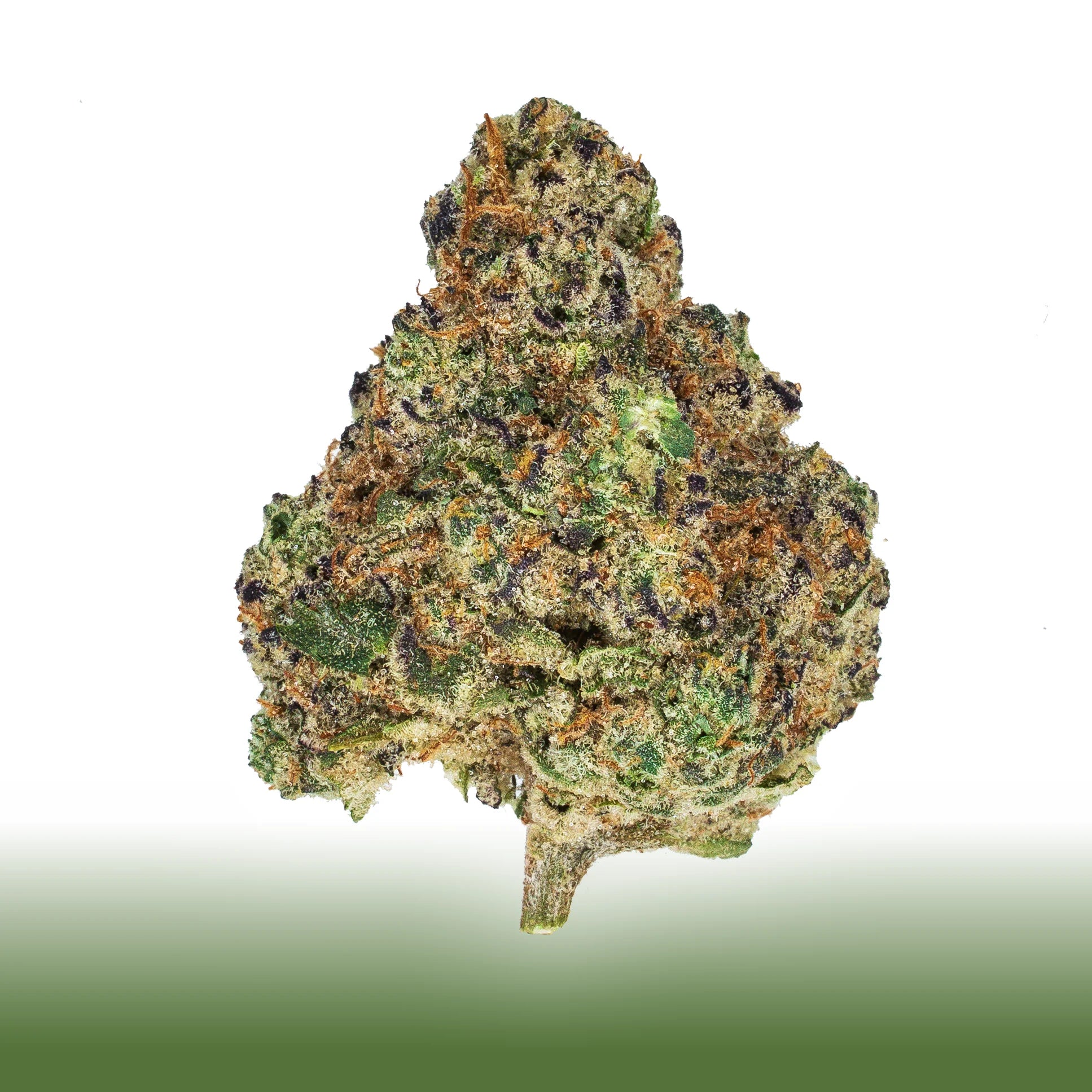 Collection of Close-up of OMG THCa flower bud with creamy citrus and earthy tones, 50/50 hybrid, total THC 20.291% in a gallery layout