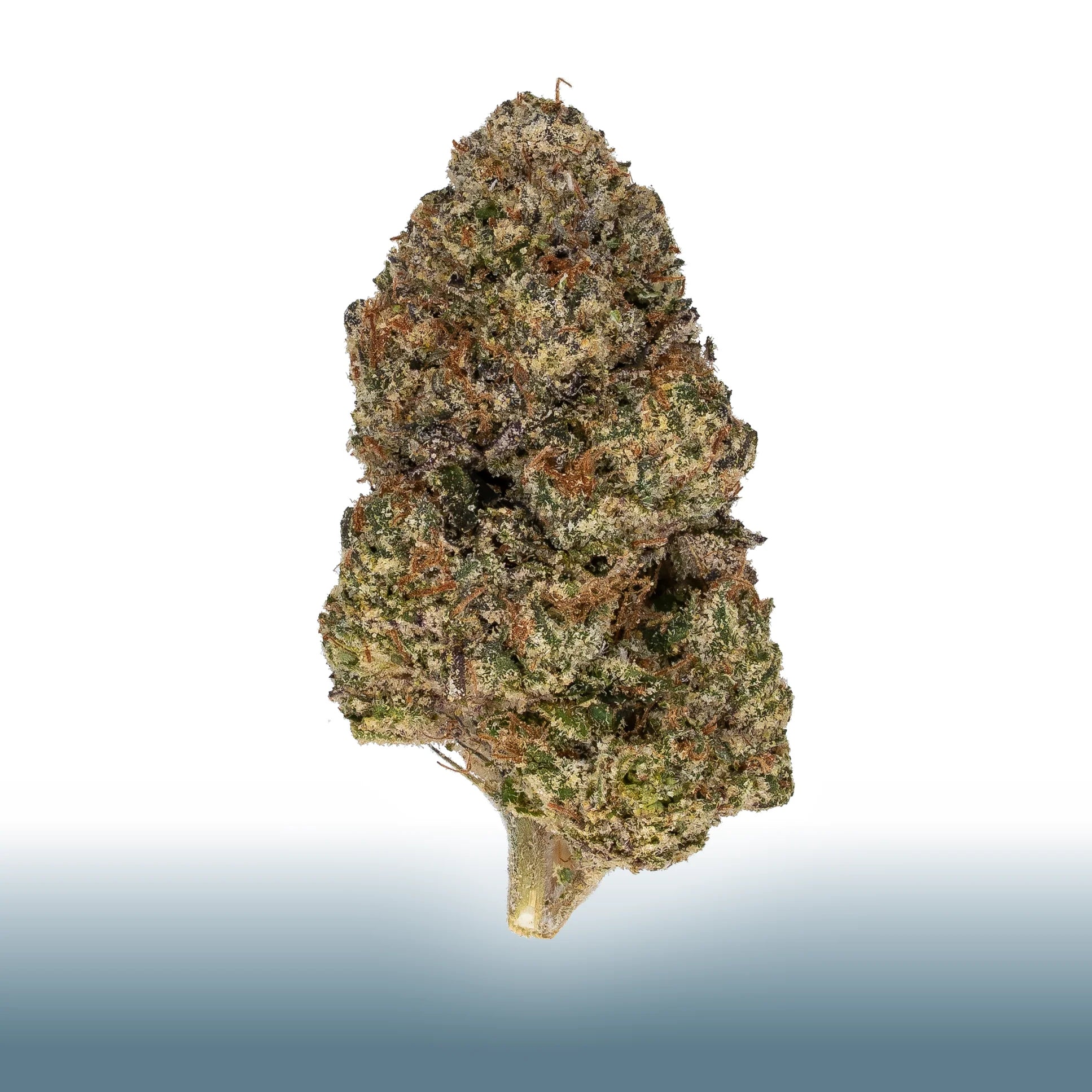 Collection of Purple Candy THCa flower with grape and berry sweetness, indica-dominant hybrid, THC 19.89% in a gallery layout