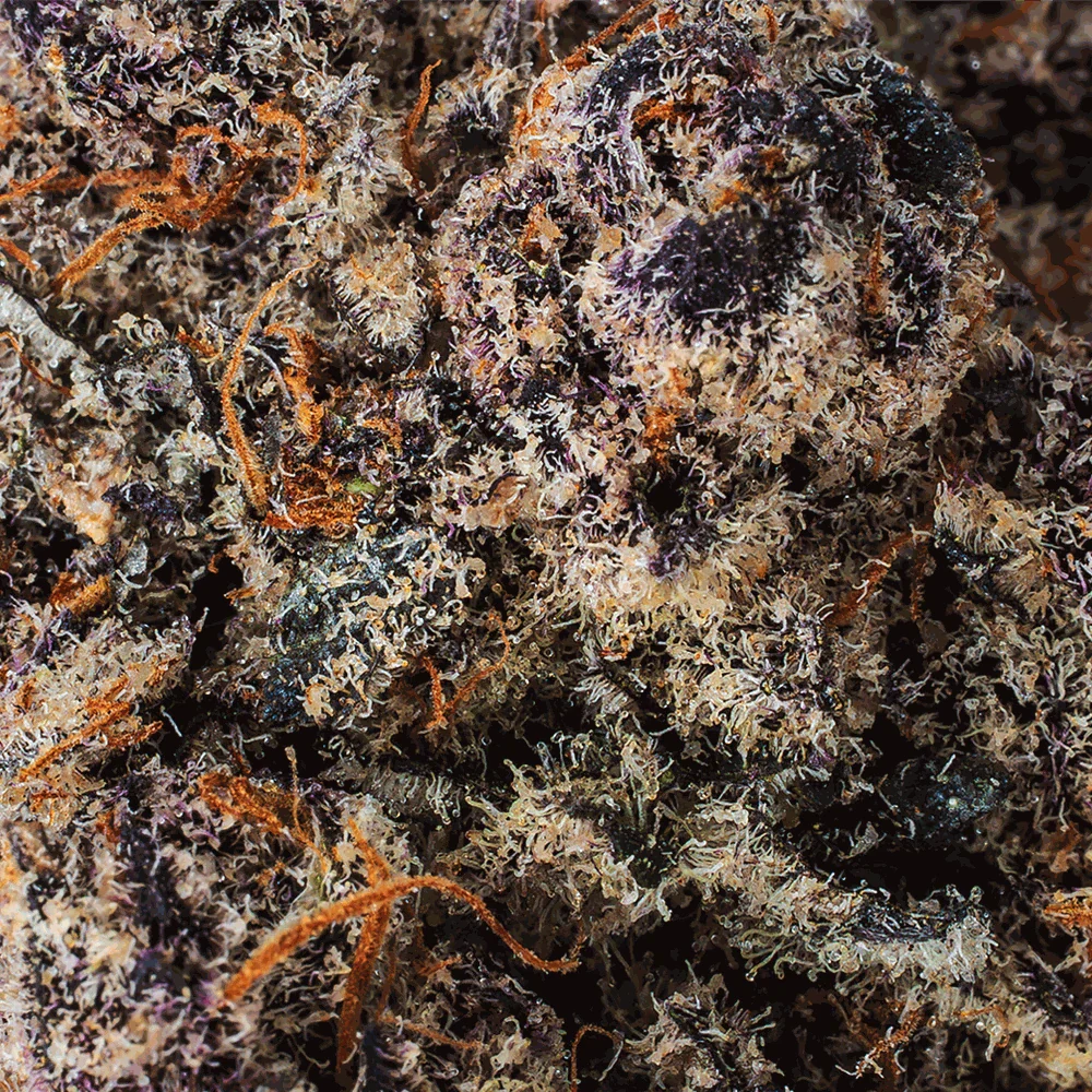 Collection of THCa Flower | Scorpion King | Premium THCa & Delta 9 Products in a gallery layout