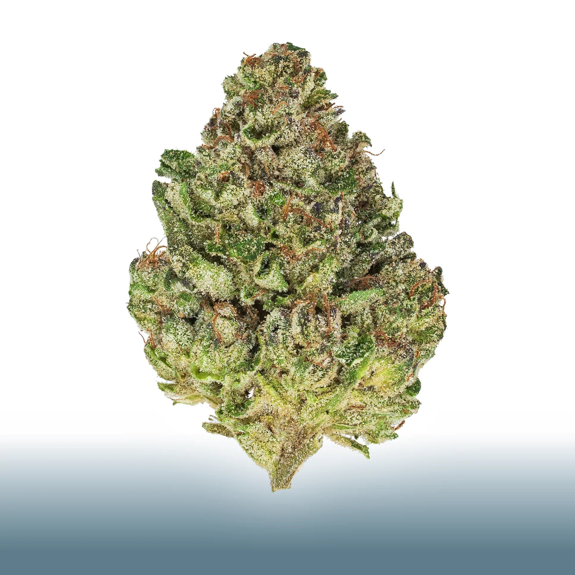 Collection of Premium flower Snow Leopard THCa cannabis bud with frosty trichomes and green-orange hues, indica-dominant hybrid with 25.18% THC content in a gallery layout
