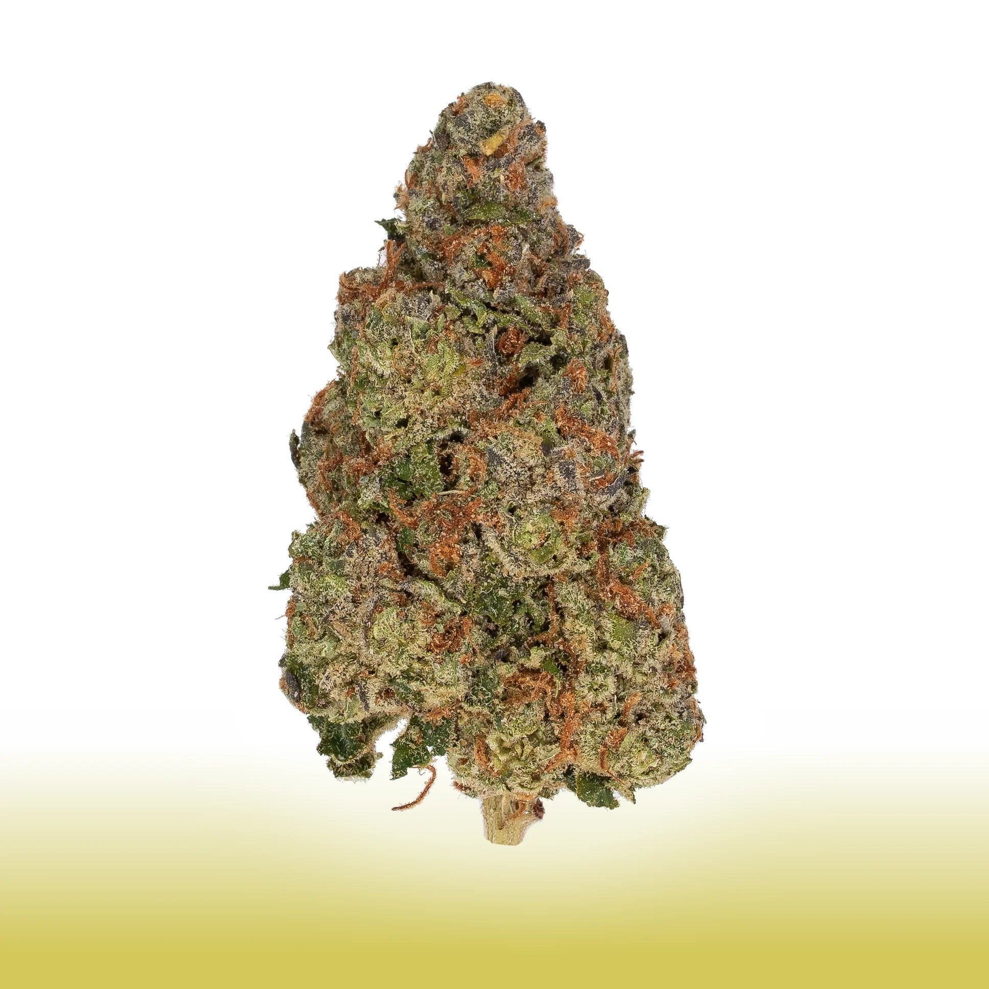 Collection of White Diesel OG premium sativa-dominant hybrid cannabis flower with diesel and citrus aroma, 24.257% THC content in a gallery layout