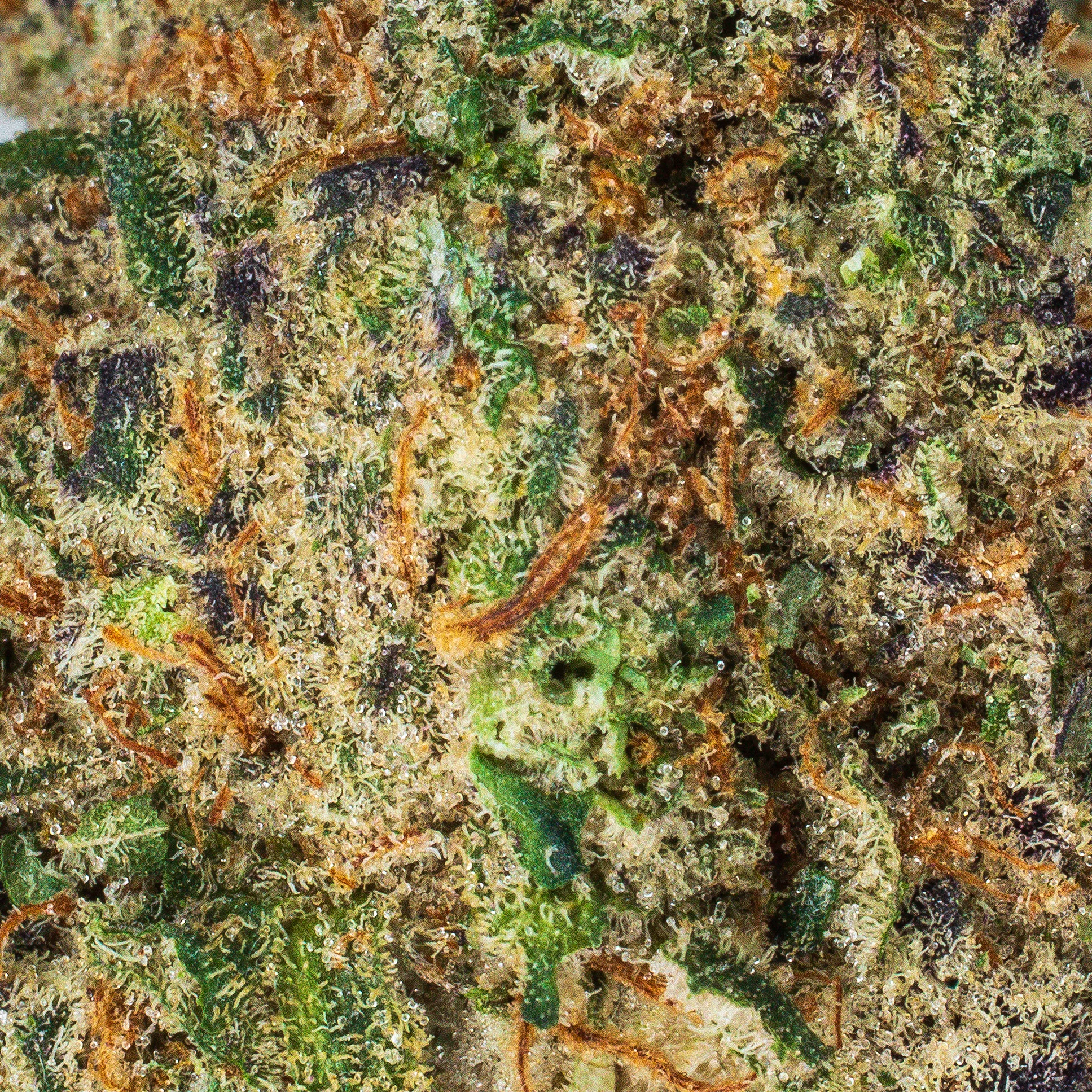 Collection of OMG Top-Shelf Flower in a gallery layout